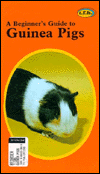 A Beginner's Guide to Guinea Pigs