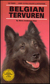 Belgian Tervuren