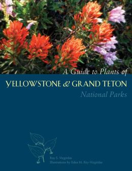 A Guide to Plants of Yellowstone and Grand Teton National Parks Ray S. Vizgirdas and Edna M Rey-Vizgirdas