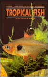 Tropical Fish