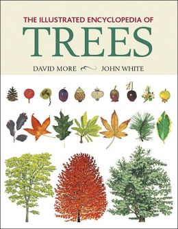 The Illustrated Encyclopedia of Trees
