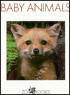 Baby Animals