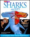 Sharks: A Unique First Visual Reference