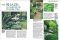 All About Shade Gardening (Ortho's All About Series)