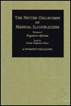 Digestive System: Lower Digestive Tract (Netter Collection of Medical Illustrations)