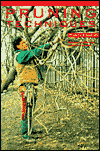 Pruning Techniques