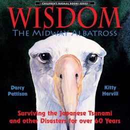 Wisdom, The Midway Albatross
