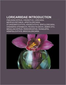 Loricariidae Introduction: Pseudancistrus, Hisonotus, Loricaria, Neoplecostomus, Apistoloricaria, Sturisomatichthys, Kronichthys Source: Wikipedia