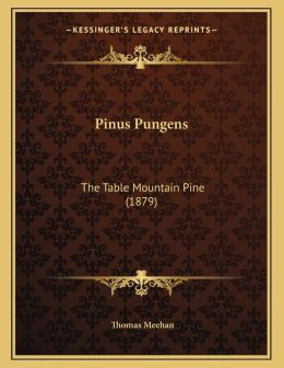 Pinus Pungens