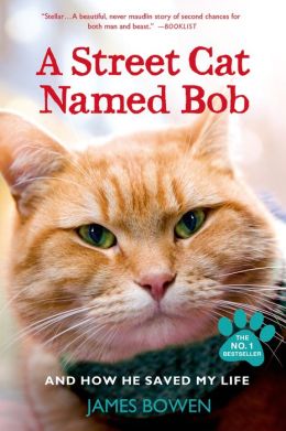 Watch Online A Street Cat Named Bob Cinema