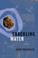 Book Cover Image. Title: Shackling Water, Author: Adam Mansbach
