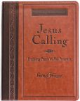 Book Cover Image. Title: Jesus Calling:  Enjoying Peace in His Presence, Author: Sarah Young