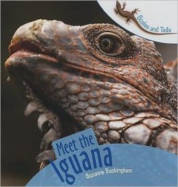 Meet the Iguana