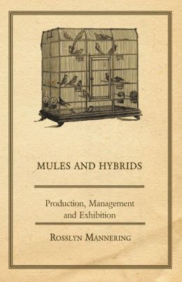 Mules And Hybrids - Production, Management, & Exhibition
