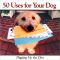 50 Uses for Your Dog: Digging Up the Dirt
