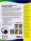 The Reading Puzzle: Vocabulary, Grades 4-8