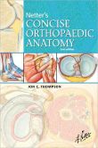Book Cover Image. Title: Netter's Concise Orthopaedic Anatomy, Author: Jon C. Thompson