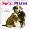 Soul Mates: You Had Me at Hello Little Gift Book