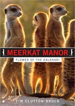 Meerkat Manor: Flower of the Kalahari Tim Clutton-Brock
