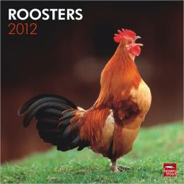 2012 Roosters Square 12X12 Wall Calendar