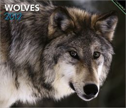 Wolves 2012 Deluxe Wall Calendar BrownTrout Publishers Inc