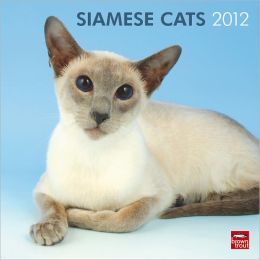 Siamese Cats 2012 Square 12X12 Wall Calendar BrownTrout Publishers Inc