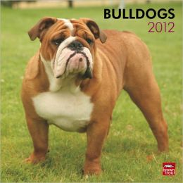 French Bulldogs 2012 Square 12X12 Wall Calendar (Multilingual Edition) BrownTrout Publishers Inc