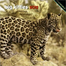 Big Kitties Mini 7X7 Calendar