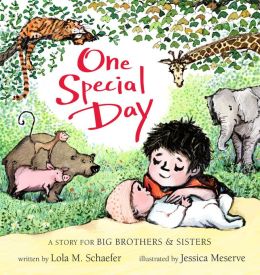 One Special Day (A Story for Big Brothers and Sisters) Lola Schaefer and Jessica Meserve