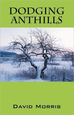 Dodging Anthills