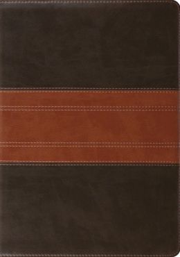 ESV Study Bible (Trutone, Forest/Tan, Trail Design)