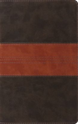 ESV Thinline Bible (TruTone, Black/Tan, Trail Design) ESV Bibles