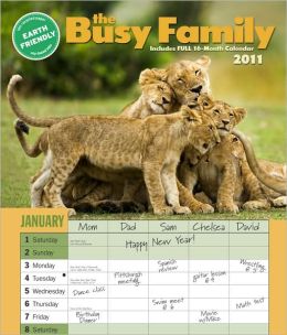 2011 Busy Family Wall Calendar