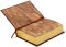 The Martian Chronicles/The Illustrated Man/The Golden Apples of the Sun (Barnes & Noble Leatherbound Classics)