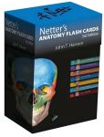 Book Cover Image. Title: Netter's Anatomy Flash Cards with Online Student Consult Access 3, Author: John T. Hansen