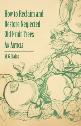 How To Reclaim And Restore Neglected Old Fruit Trees - An Article