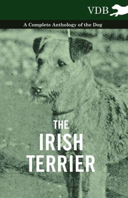 The Irish Terrier - A Complete Anthology of the Dog Various