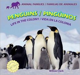 Penguins / Pingüinos
