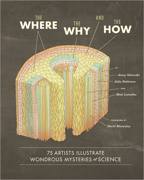 Free computer ebooks pdf download The Where, the Why, and the How: 75 Artists Illustrate Wondrous Mysteries of Science