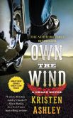 Own the Wind: A Chaos Novel