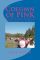 Column of PINK: Why I Walk to Fight Breast Cancer (3rd Edition)