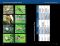 Sparrows and Finches of the Great Lakes Region and Eastern North America