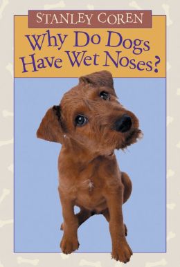 Why Do Dogs Have Wet Noses?