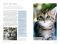 The Secret Life of Your Cat: Unlock the Mysteries of Your Pet's Behavior