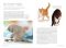 The Secret Life of Your Cat: Unlock the Mysteries of Your Pet's Behavior