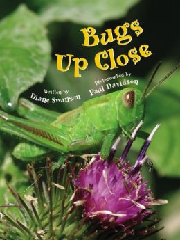 Bugs up Close