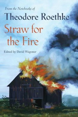 Straw for the Fire: From the Notebooks of Theodore Roethke Theodore Roethke and David Wagoner