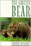 Grizzly Bear