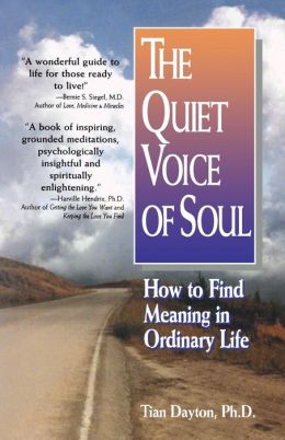 The Quiet Voice of Soul: How to Find Meaning in Ordinary Life Tian Dayton