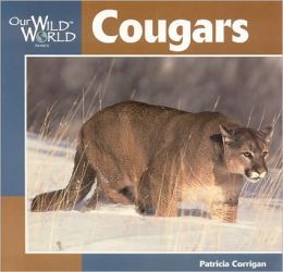 Cougars By Patricia Corrigan 